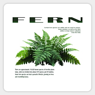 Fern green Sticker